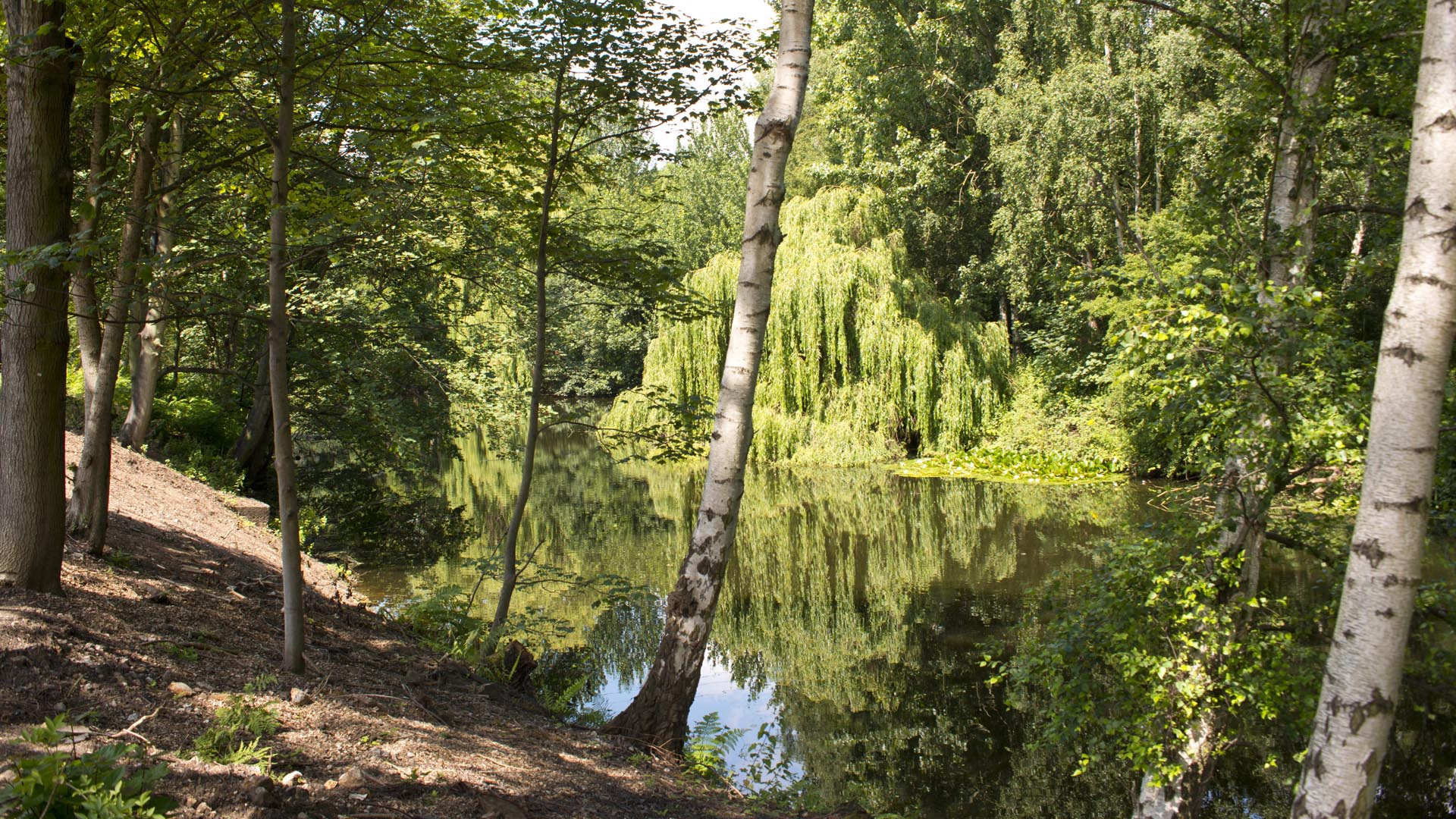 Beautiful Riverside Location